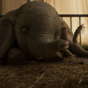 Disney Offers New Sneak Peek at ‘Dumbo’